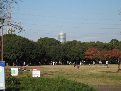 c0217931_2056712.jpg