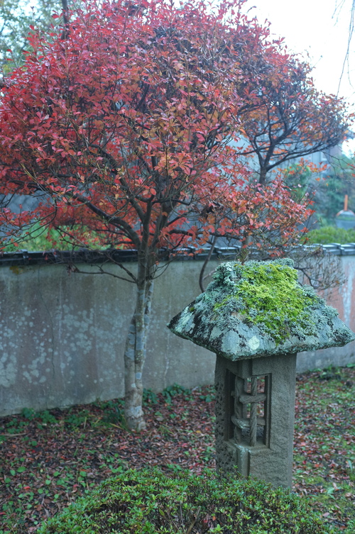 c0308431_1146100.jpg