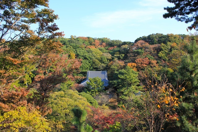 f0348831_22112690.jpg