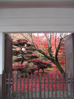 紅葉散る「芭蕉の館」_f0289632_18162471.jpg