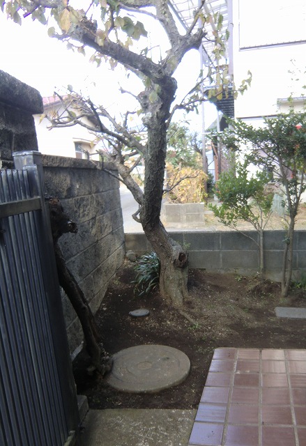 a0006033_19285039.jpg
