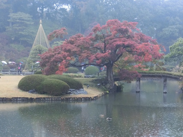 a0006033_19361069.jpg