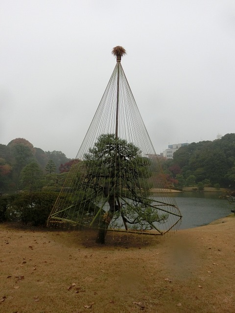 a0006033_19363227.jpg