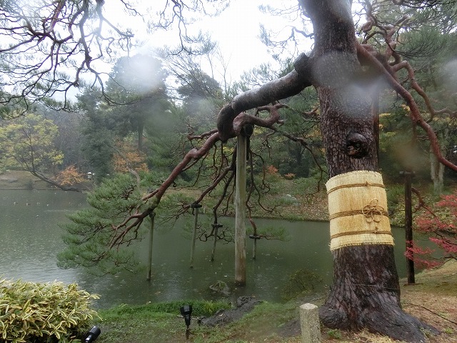 a0006033_19364321.jpg