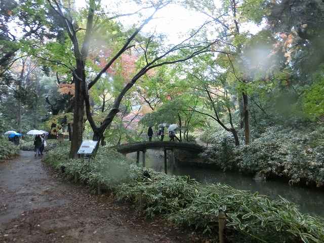 a0006033_19371226.jpg