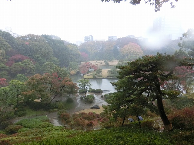 a0006033_19374479.jpg