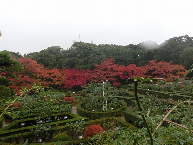 a0006033_19381487.jpg