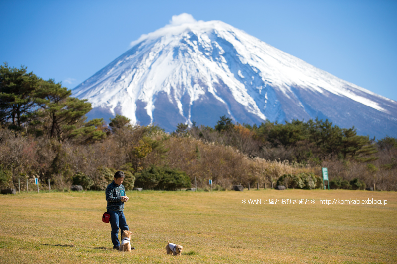 Hello!  Mt.Fuji_d0289733_21523690.jpg