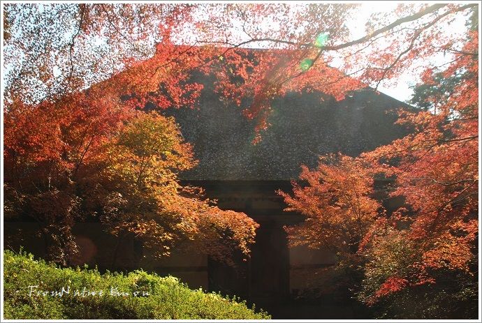 滋賀県　石山寺　Ⅱ_a0134538_9472616.jpg