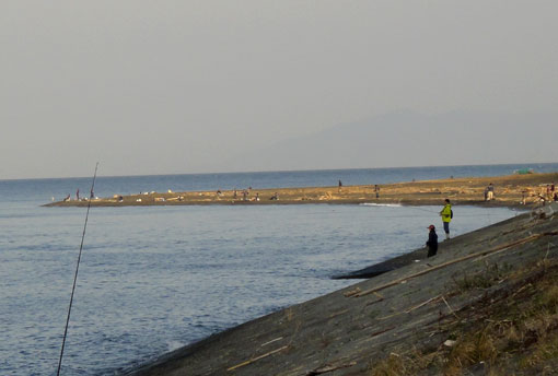 a0056140_16594484.jpg