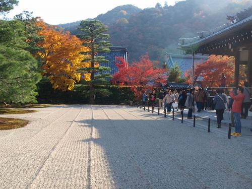 京都の紅葉1_a0232543_13535729.jpg