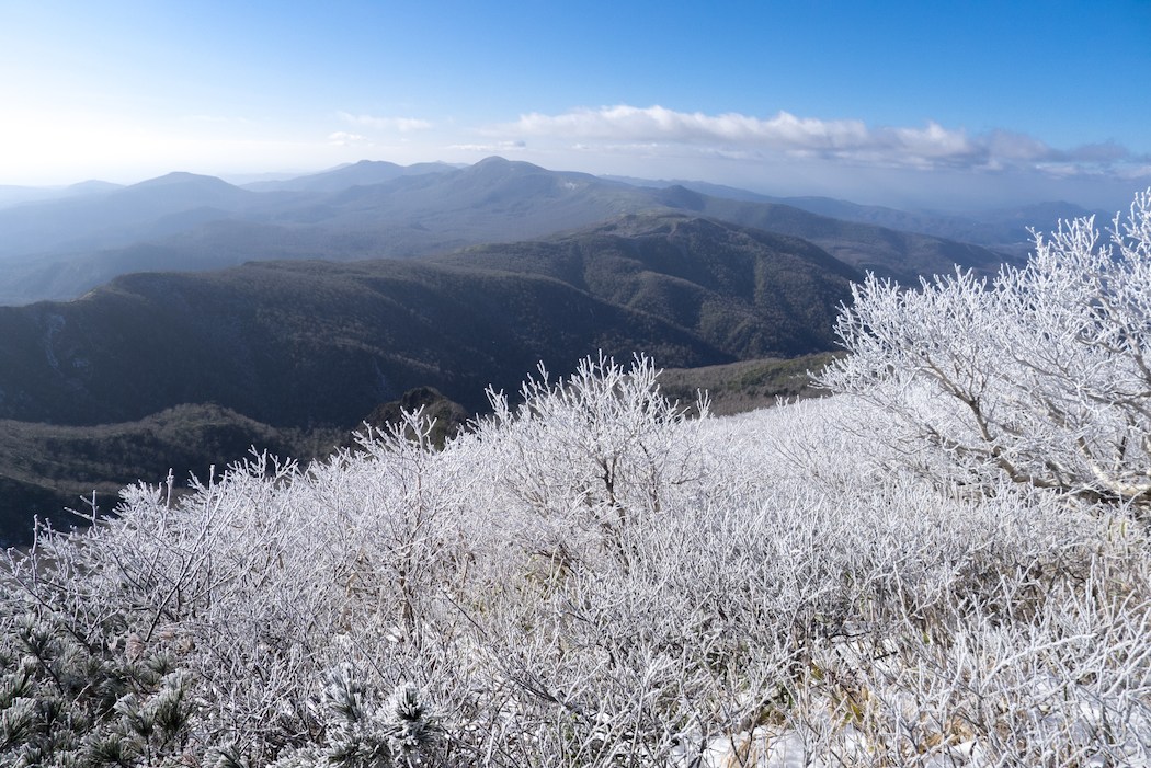 2014年11月23日　初冬のホロホロ山_c0210644_2182938.jpg