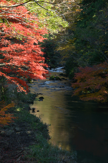 c0093046_22253176.gif