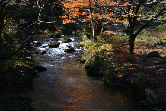 c0093046_2226469.gif