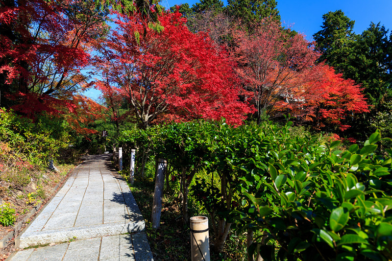 色とりどりの紅葉に包まれる境内（十輪寺）_f0155048_0261076.jpg