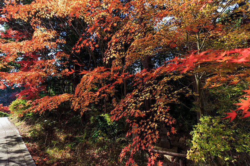 色とりどりの紅葉に包まれる境内（十輪寺）_f0155048_0273811.jpg