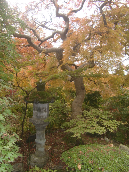f0329849_1228336.jpg