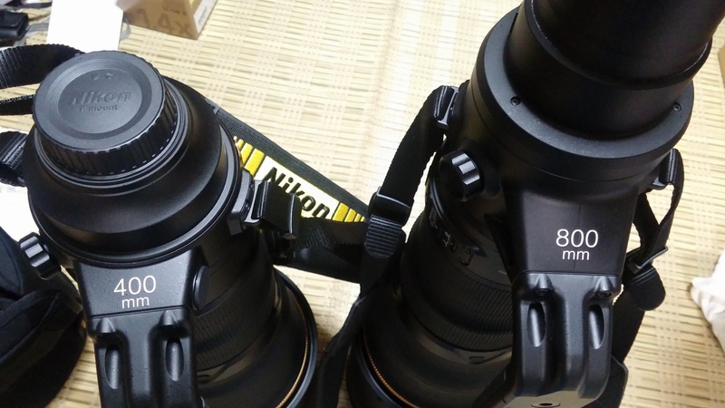 AF-S 400mm f/2.8E FL ED VR 3ケ月使用したインプレッション AF-S 400mm f/2.8E FL ED VR 3ケ月使用したインプレッション