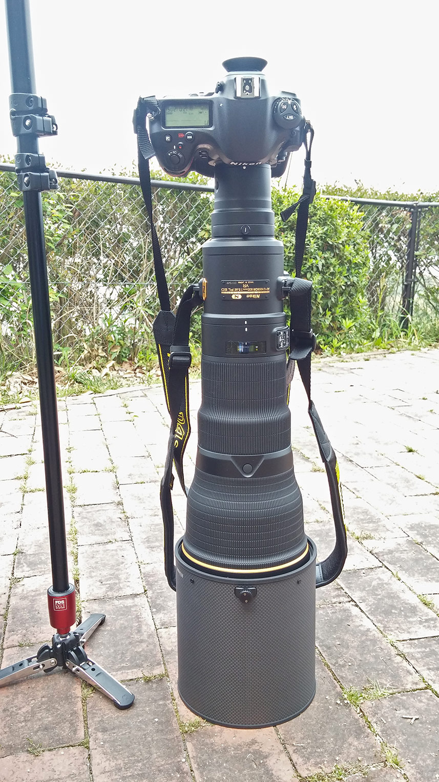 AF-S 800mm f/5.6E FL ED VR インプレッション : チーフのEOS AF-S 800mm f/5.6E FL ED VR インプレッション : チーフのEOS