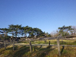 b0239151_11182553.jpg