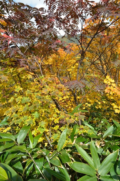 a0263952_20114521.jpg