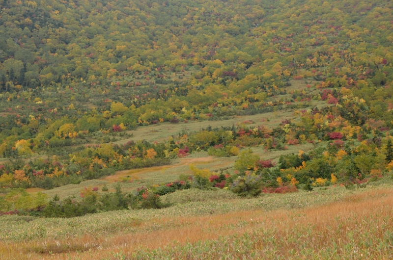 a0263952_2013274.jpg