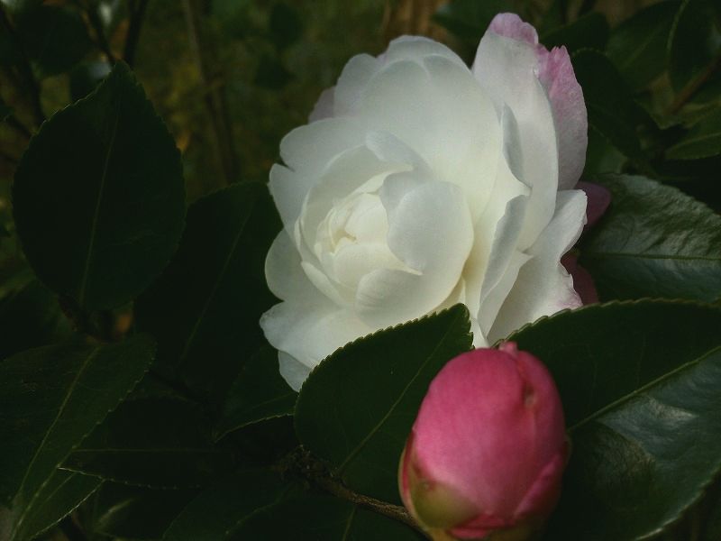f0144153_14103191.jpg