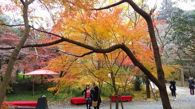 a0027555_20121365.jpg