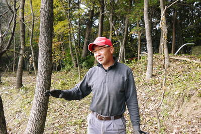 原木しいたけ 2年後の収穫へ向け、原木の伐採 その1_a0254656_19162822.jpg