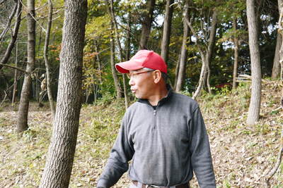原木しいたけ 2年後の収穫へ向け、原木の伐採 その1_a0254656_19235617.jpg
