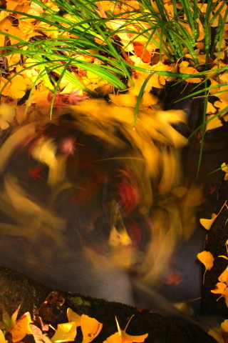 a0248459_19251978.jpg