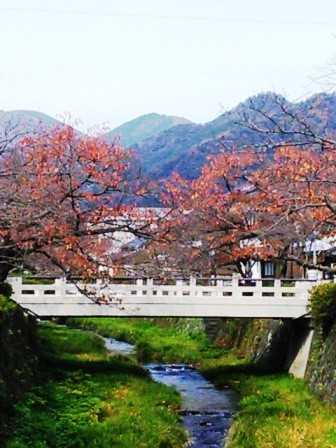 a0251760_10494998.jpg
