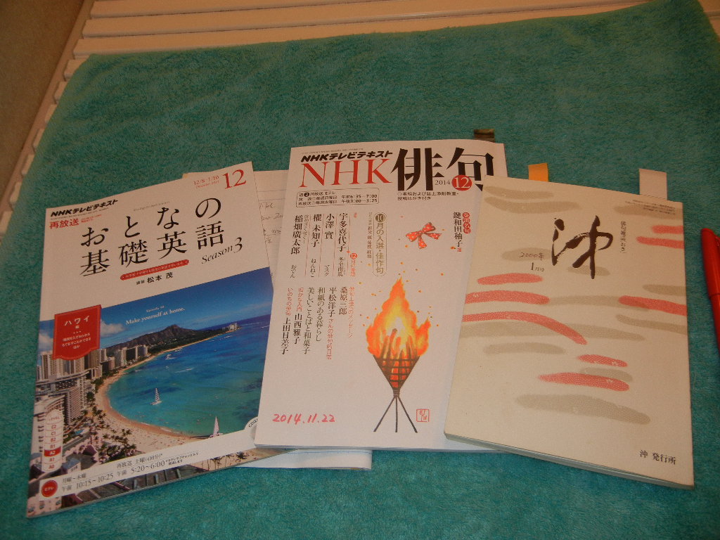 ’14,11,25(火)ソラマメとレモンと朝風呂!_f0060461_941358.jpg