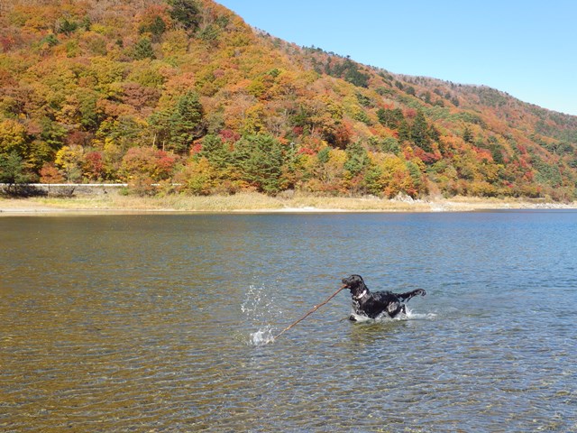 思い出編♪　2012　秋ＴＡＢＩ　富士五湖　＠　本栖湖編_c0134862_2019267.jpg