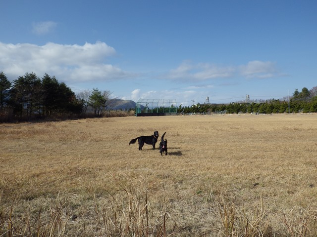 想い出編♪　2012　ランがあるんだけどね。。。_c0134862_2221449.jpg