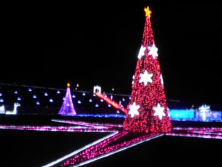 d0045362_2211939.jpg