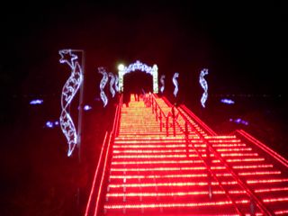 d0045362_2225720.jpg