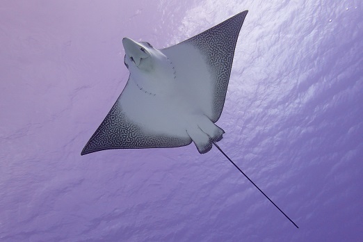 e0132965_9261142.jpg