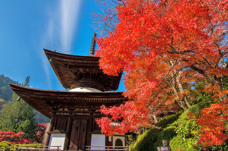 空と雲と紅葉と（善峯寺）_f0303870_2034144.jpg