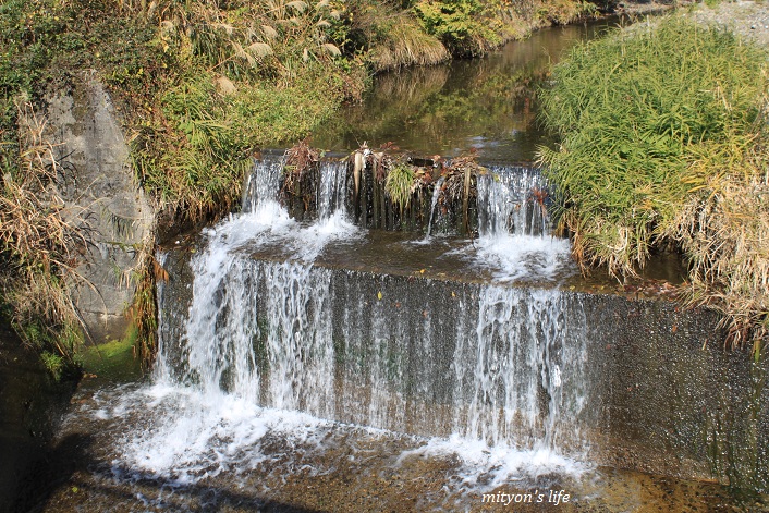 e0283472_2055154.jpg