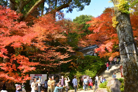 大興善寺_b0190474_2065191.jpg