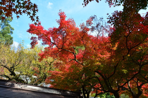 大興善寺_b0190474_2082732.jpg