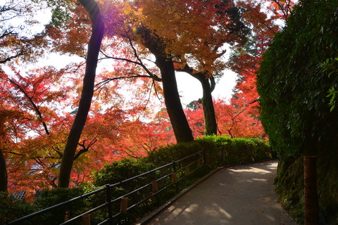 大興善寺_b0190474_2092131.jpg