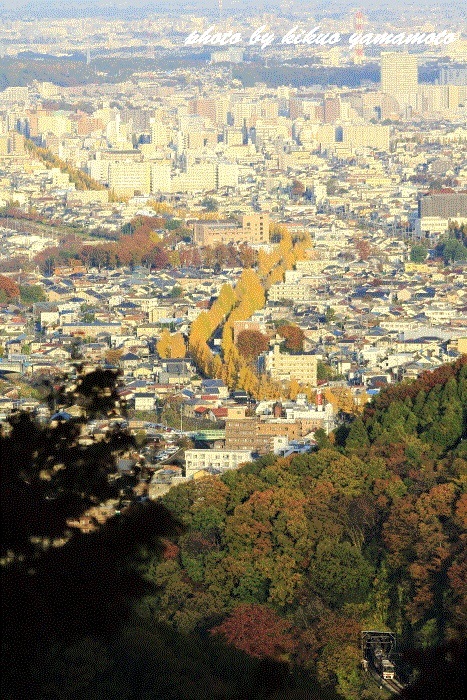 c0206178_00115552.jpg