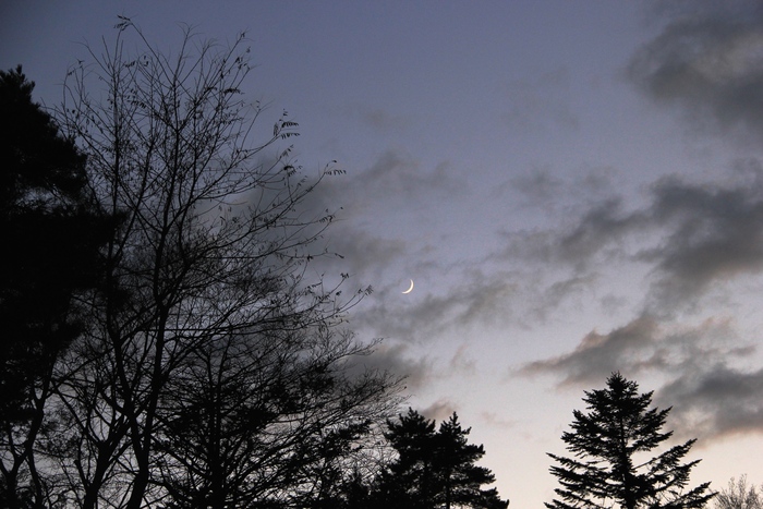 e0068480_1736145.jpg