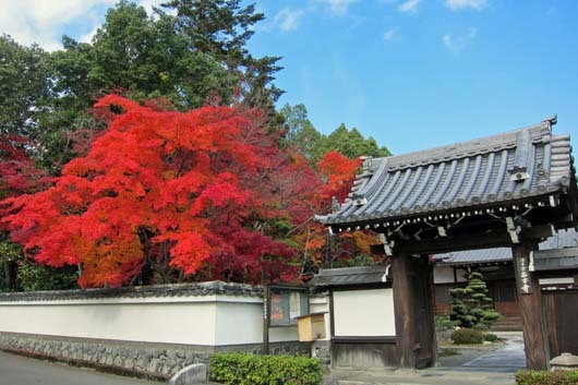 西方寺（さいほうじ）送り火に六斎念仏_a0045381_07483963.jpg