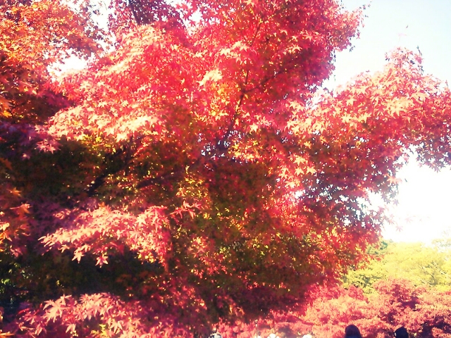 香川旅_f0172281_1781579.jpg