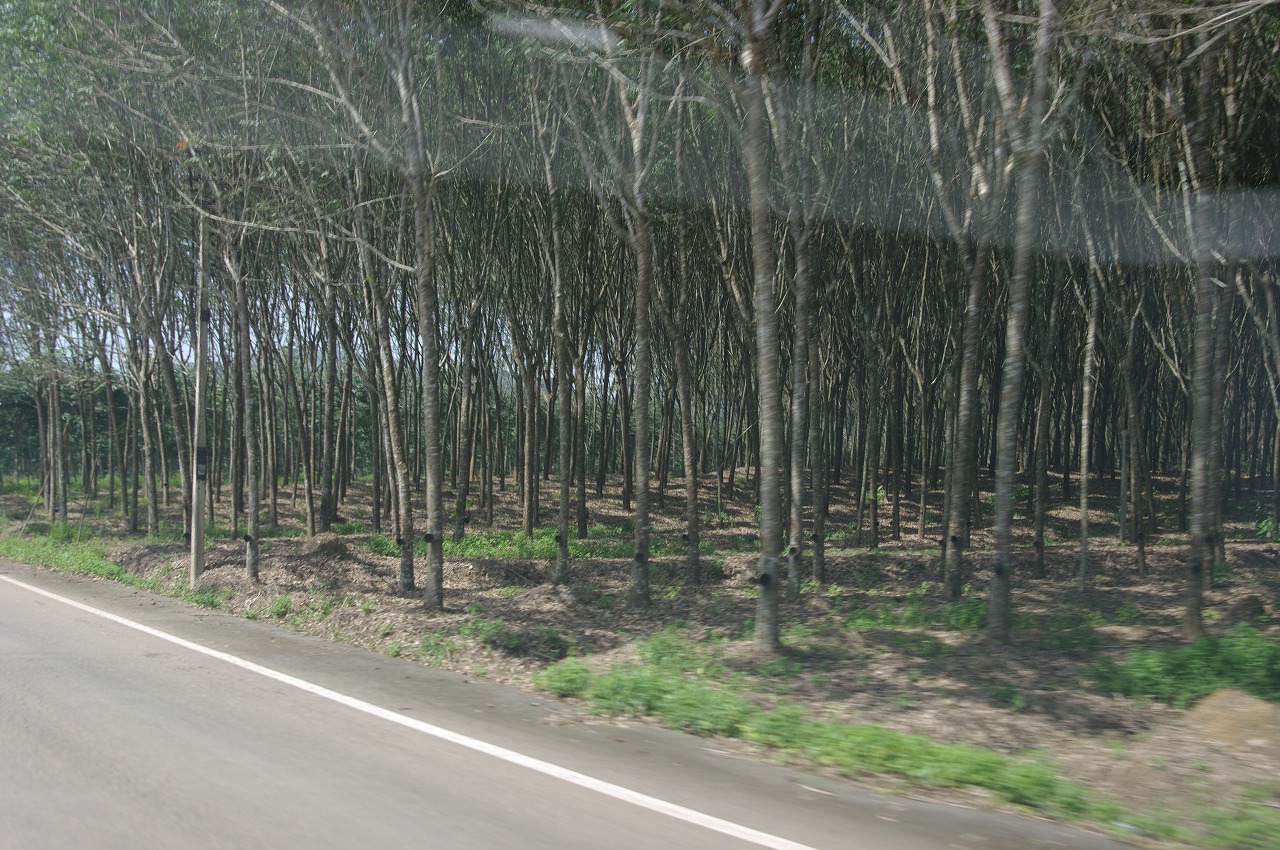 b0183583_09306.jpg