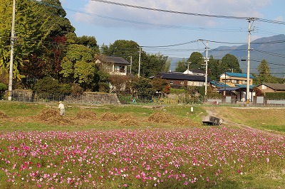 歩く・あるく　木々の紅葉・黄葉_d0156186_23575572.jpg