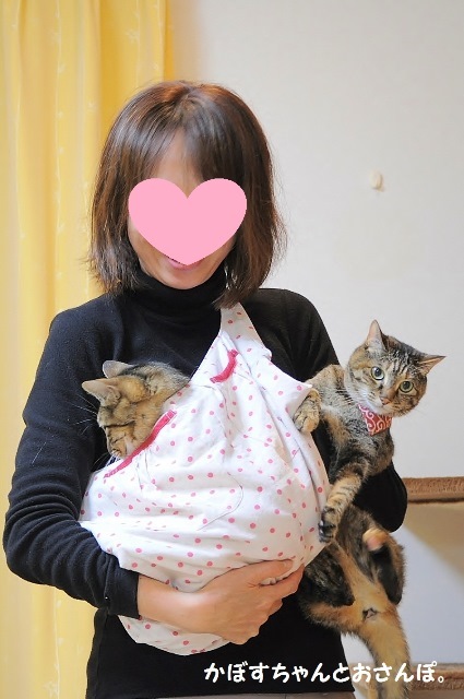 抱っこ袋_a0126590_23341478.jpg